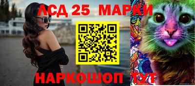 шишки Аша