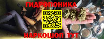 шишки Аша