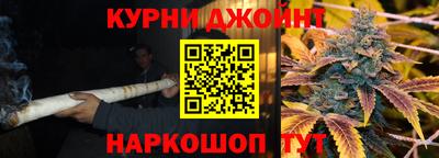 шишки Аша